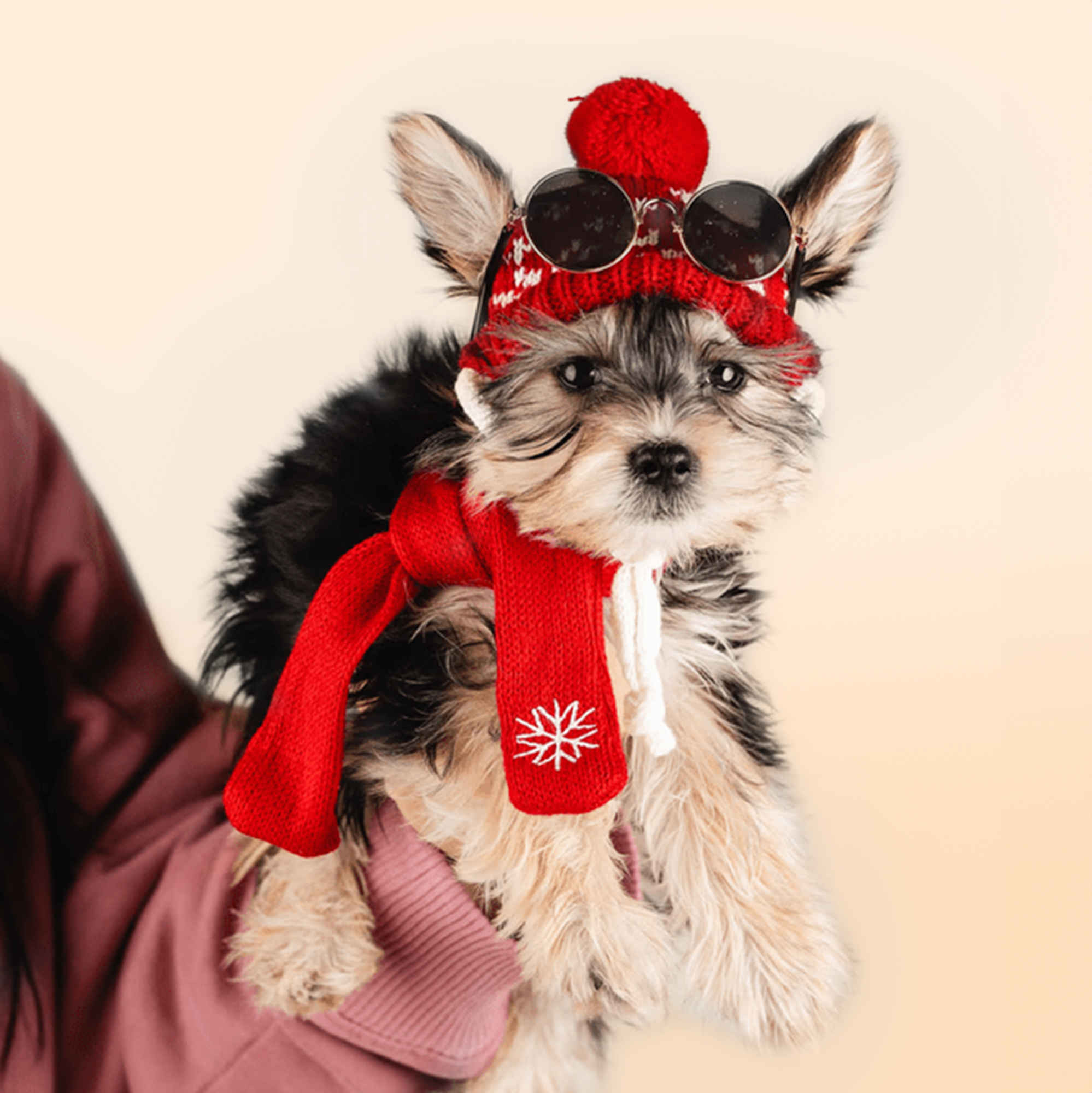 Milky puppies for sale