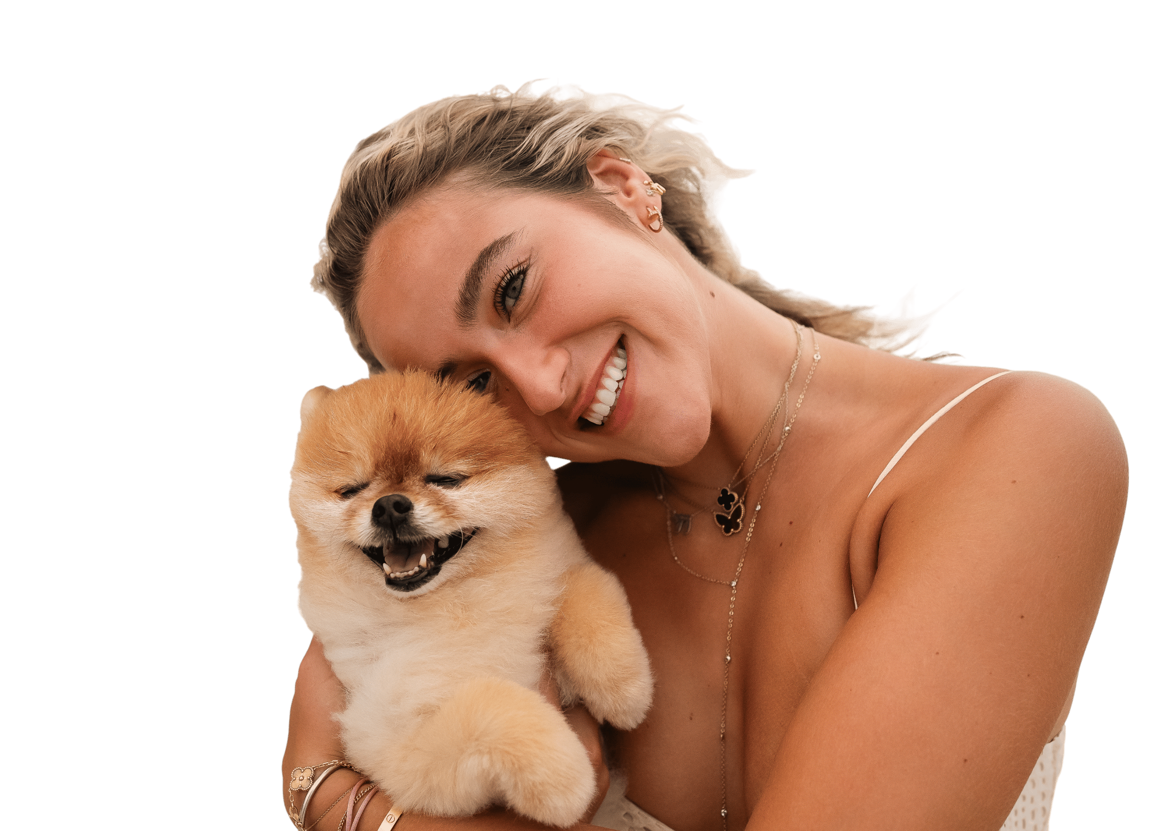 Dog banner