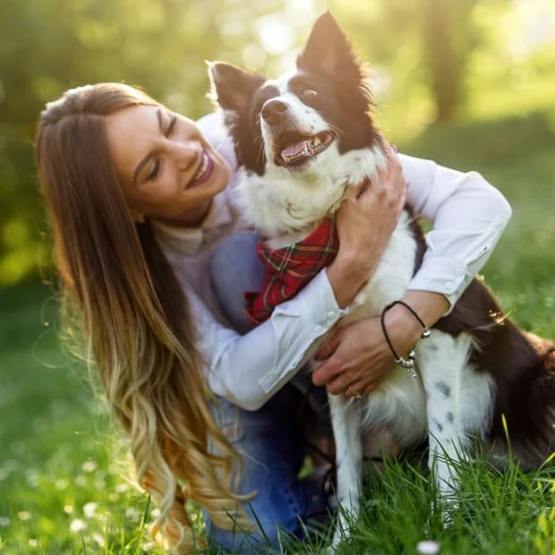 Adorable puppy being held