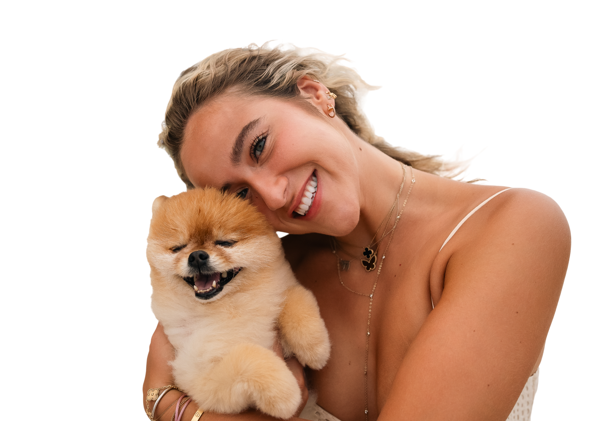 Dog banner